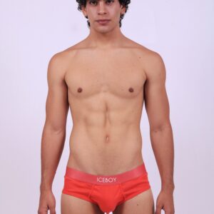 Brief Acid Orange